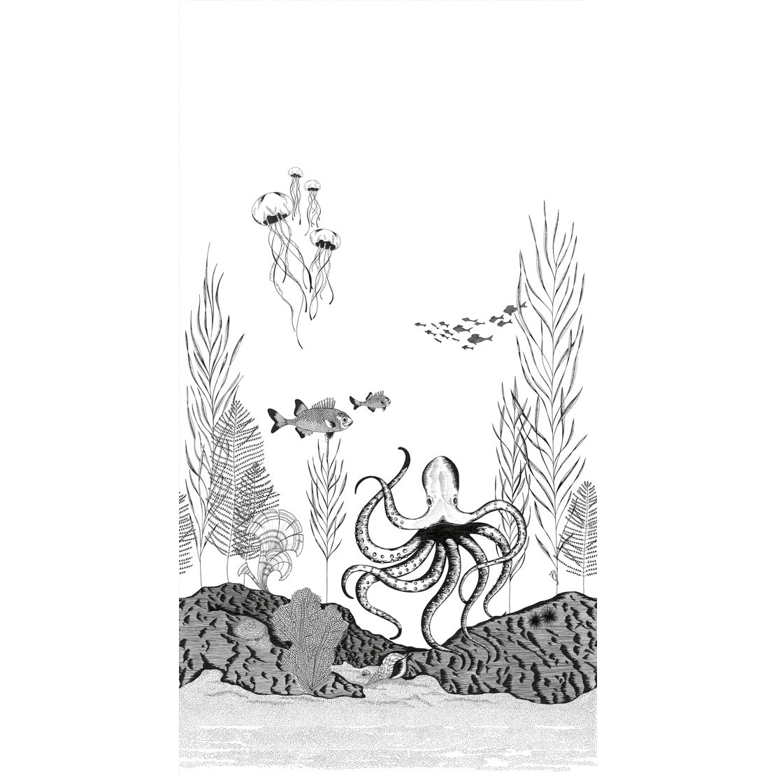 Nauticis Fig 1 ENCC 8462 95 49