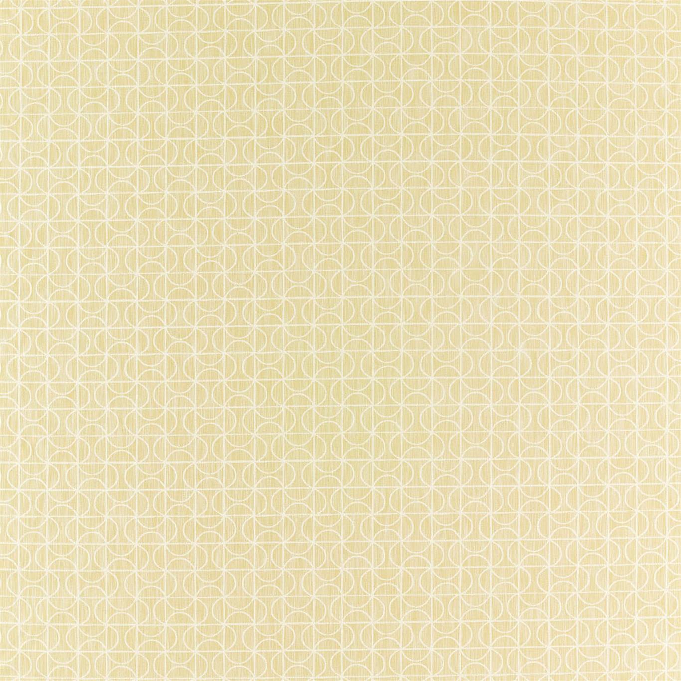 Notion 132935