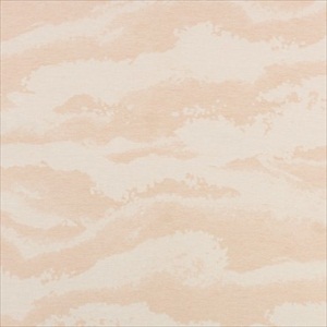 Nuage ICC 2761 31 15