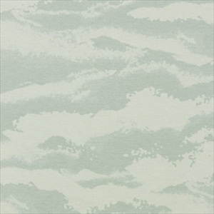Nuage ICC 2761 61 07