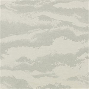 Nuage ICC 2761 91 04