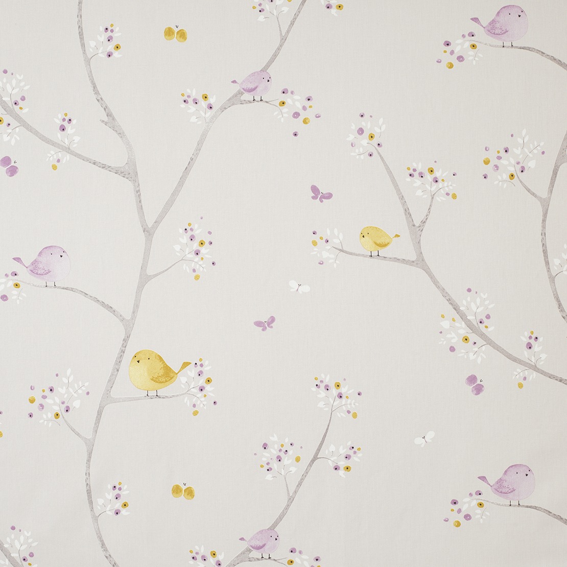 Oiseaux MWS 8002 52 24