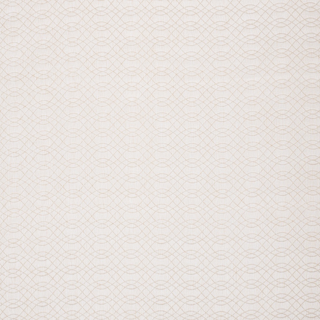 Ondulation BSP 2879 11 19
