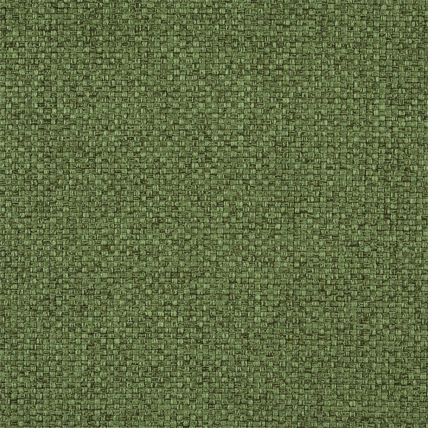 Optimize 440979