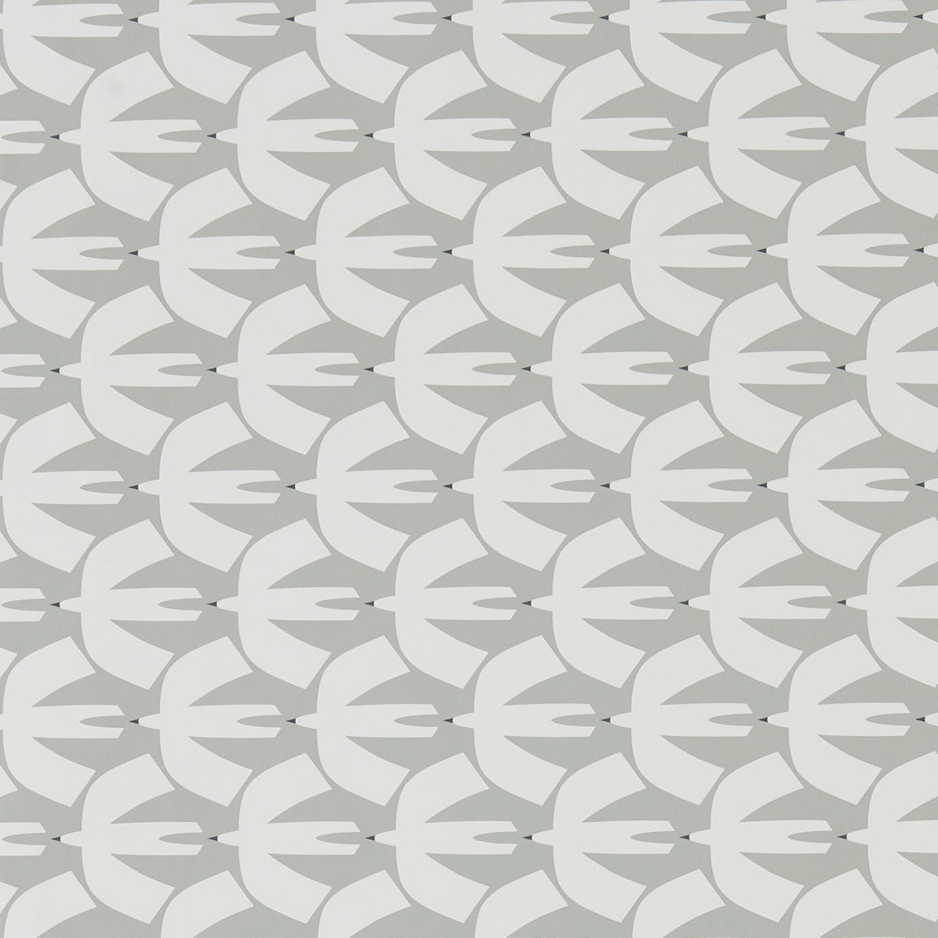 Pajaro 111825