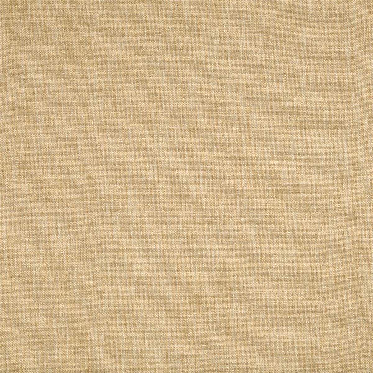 Palar Texture 8015177-16