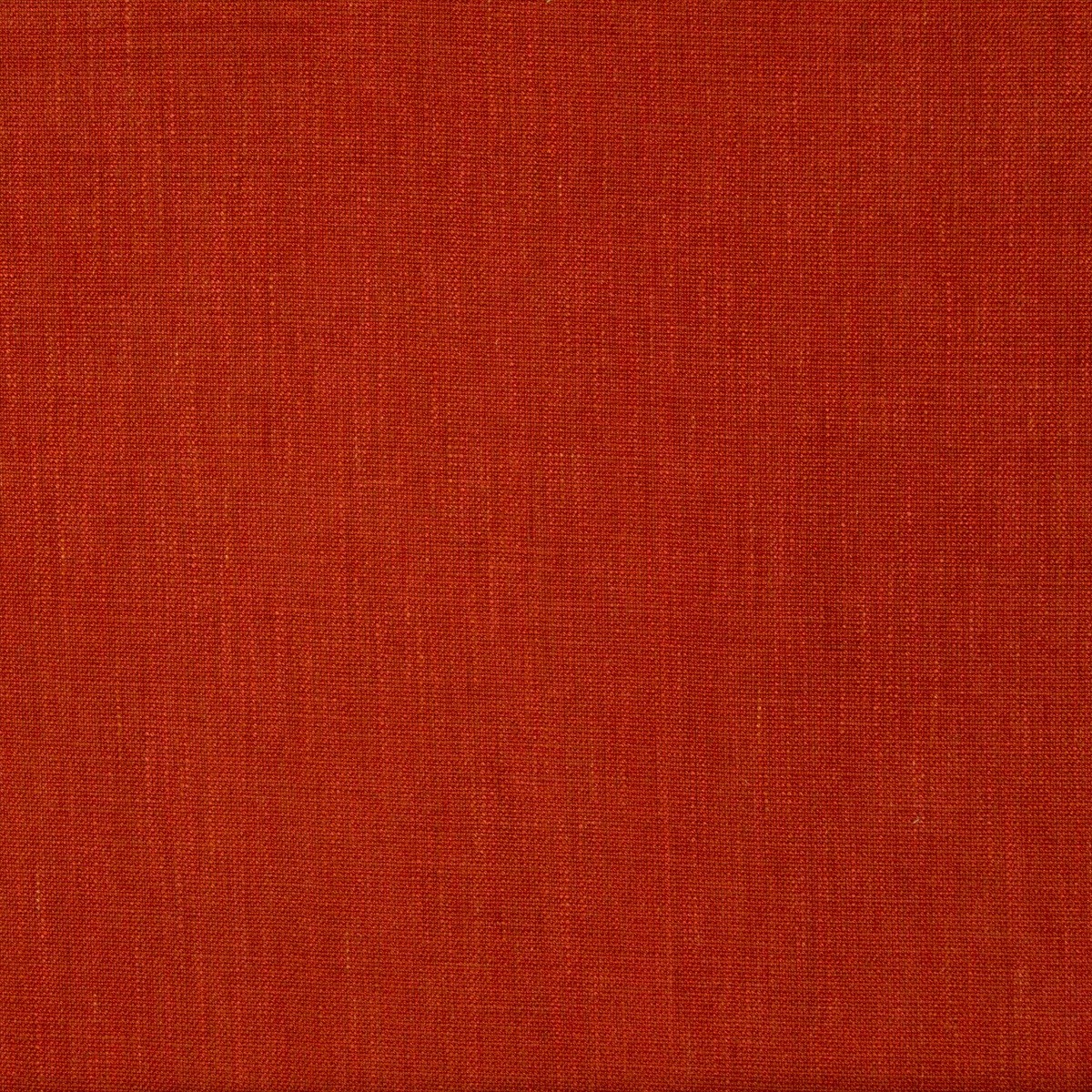 Palar Texture 8015177-19