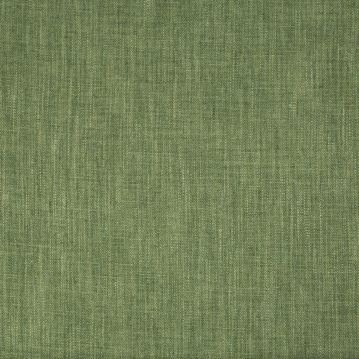 Palar Texture 8015177-3