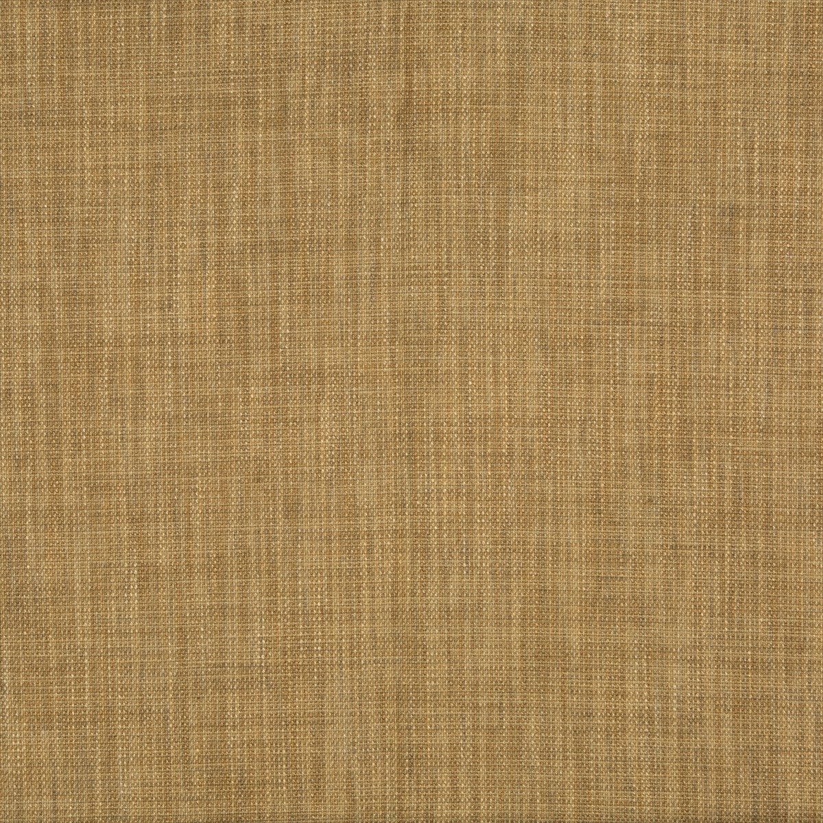Palar Texture 8015177-6