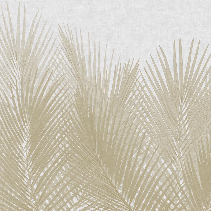 Palm M-GYPS-004