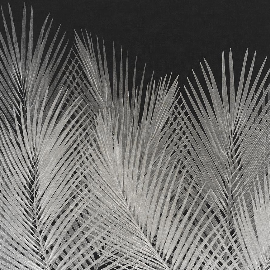 Palm M-SLA-004