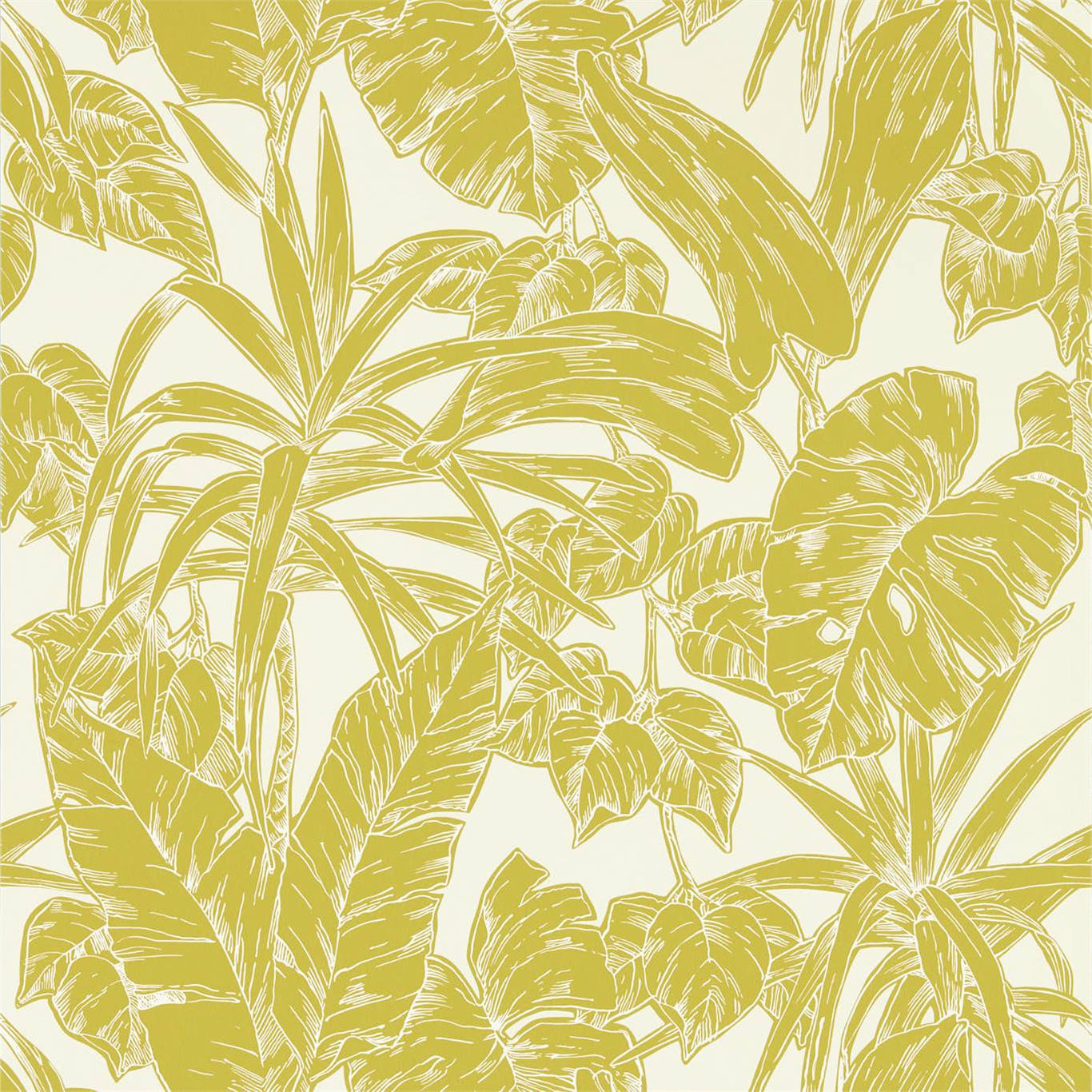 Parlour Palm 112022