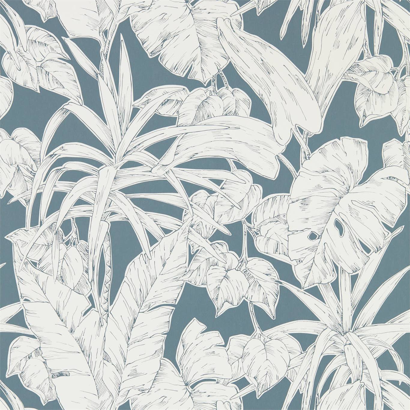 Parlour Palm 112023
