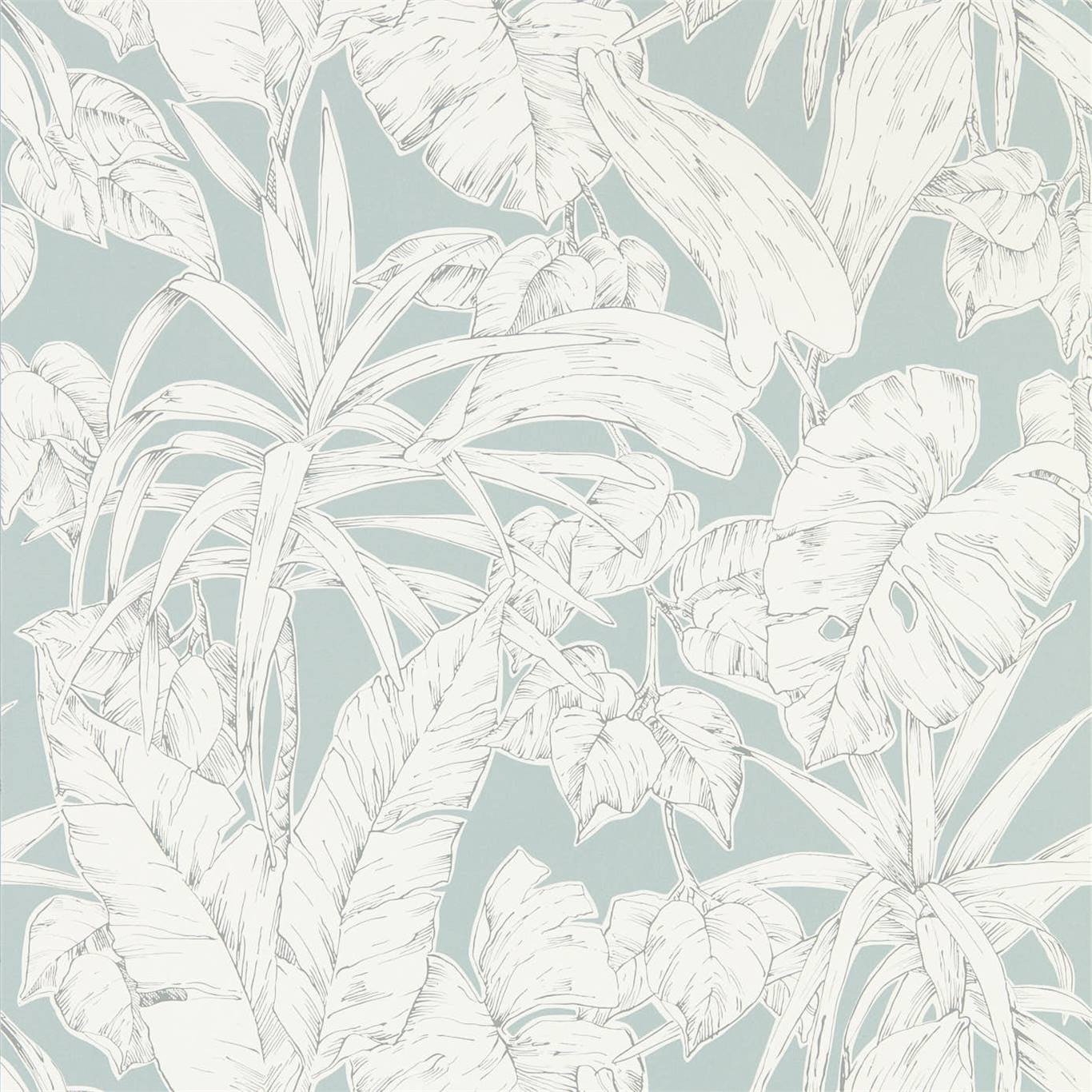 Parlour Palm 112025