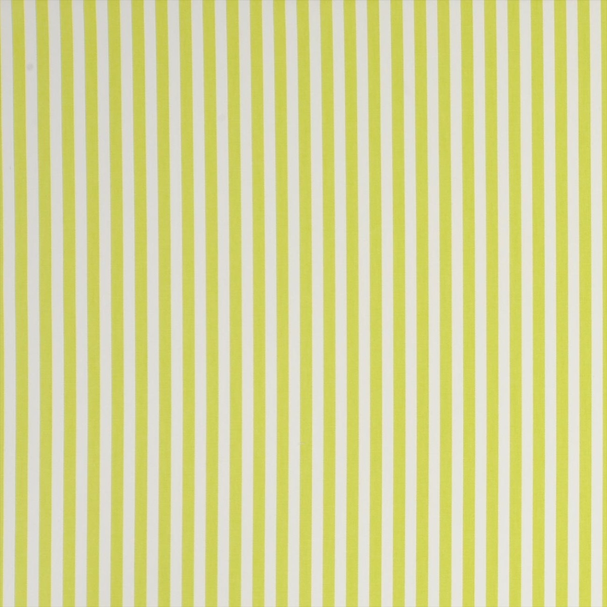 Party Stripe Citrus F0841-02
