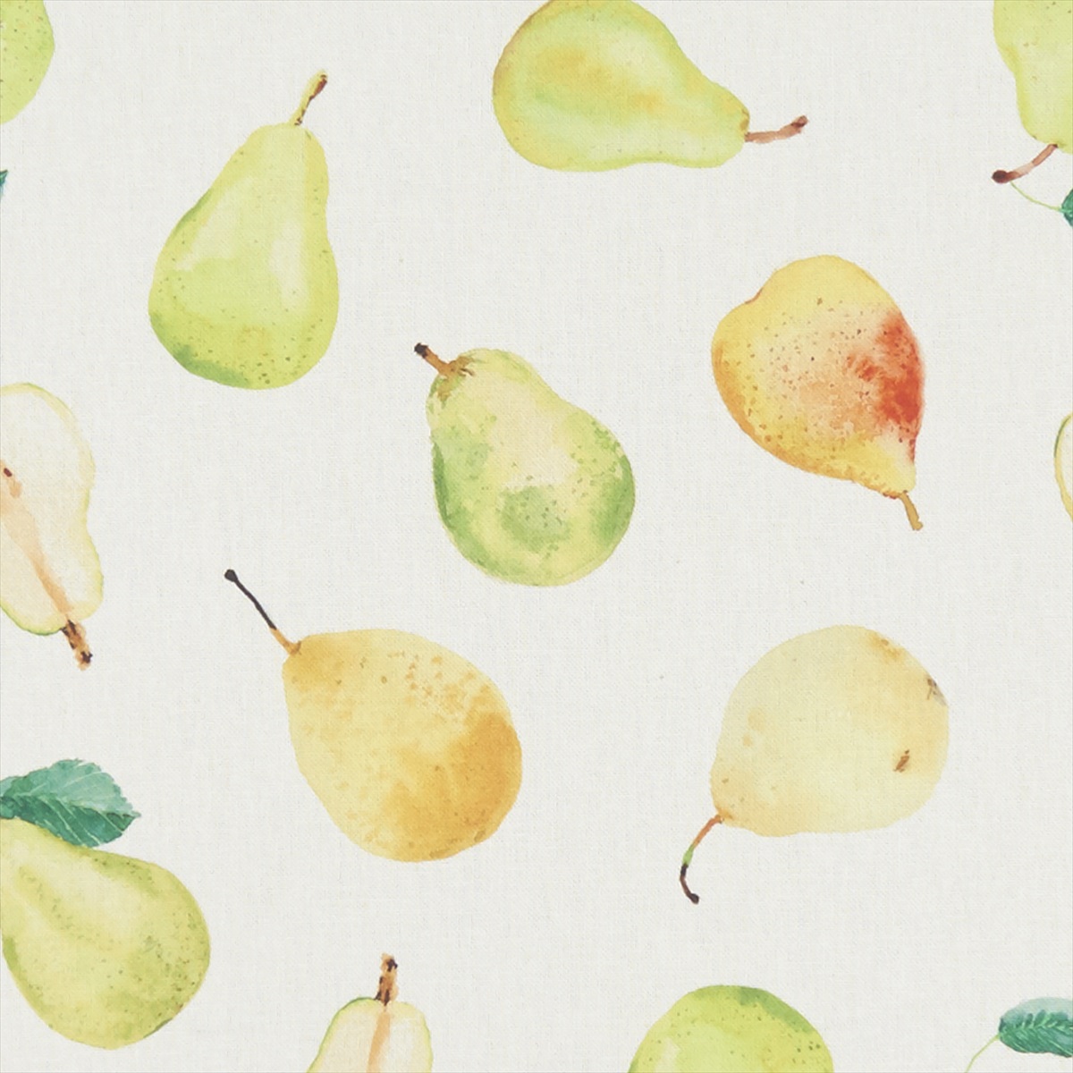 Pears F1270-01