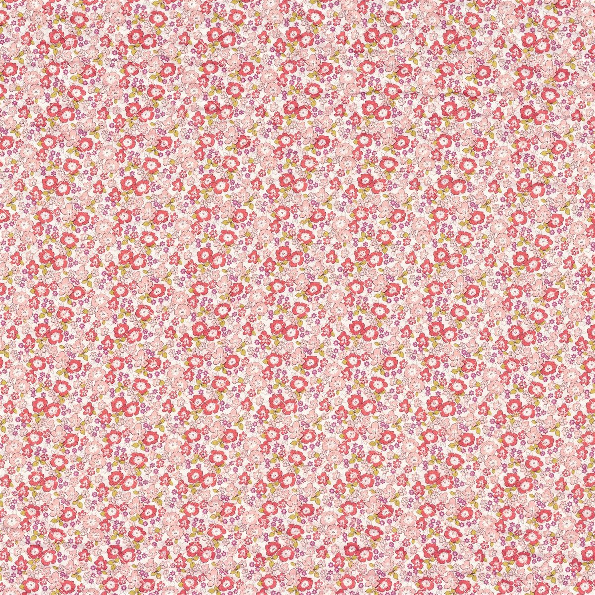 Pipelette 4556 01 30