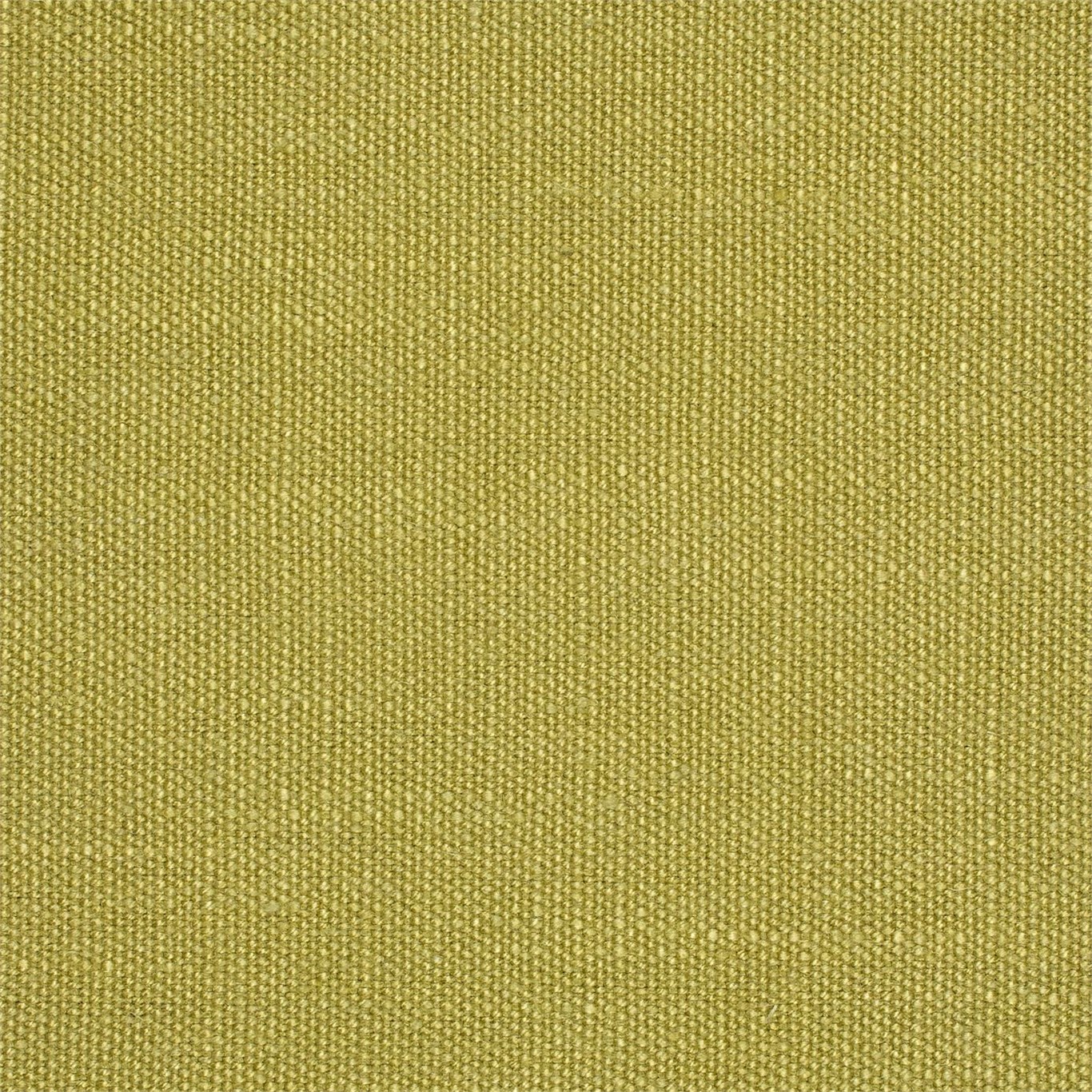 Pistachio Plains One 130472