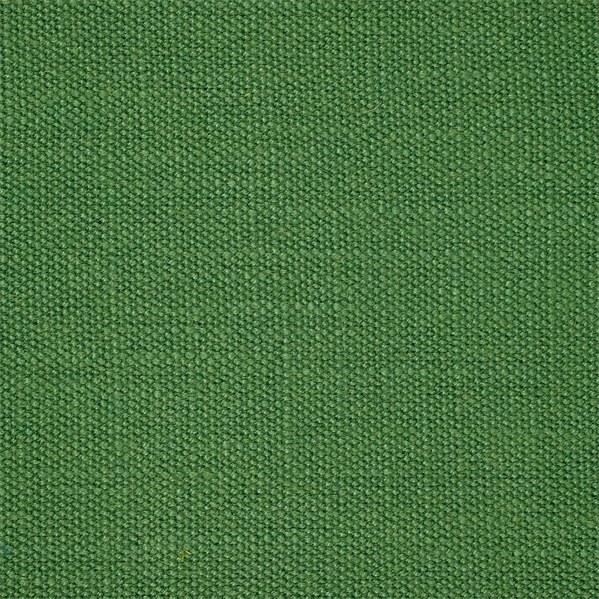 Plains One + 1 131950
