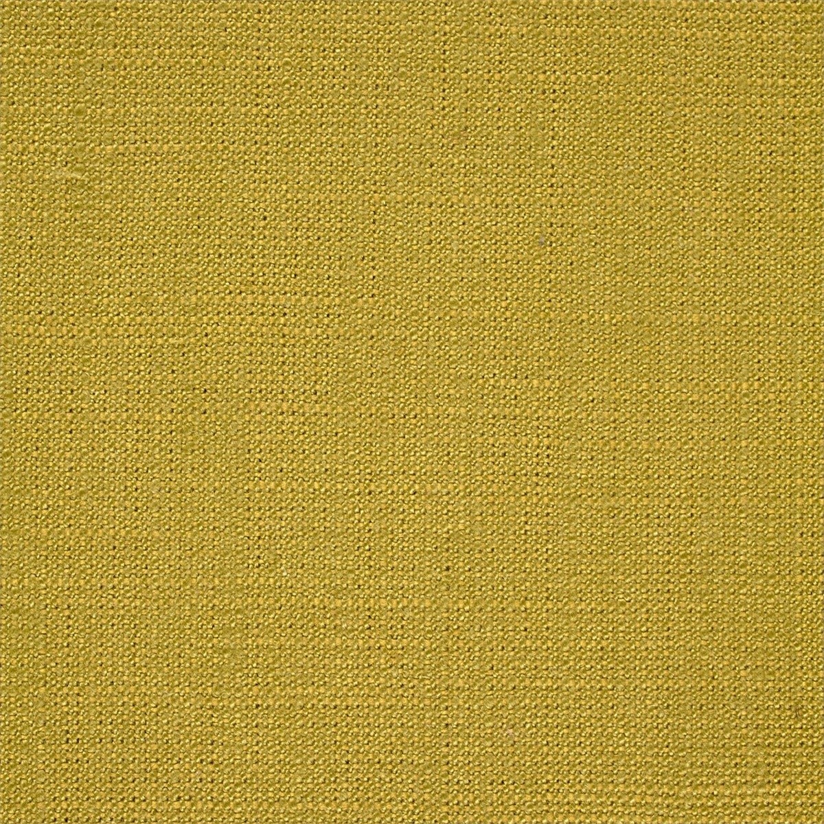 Plains One + 1 131975