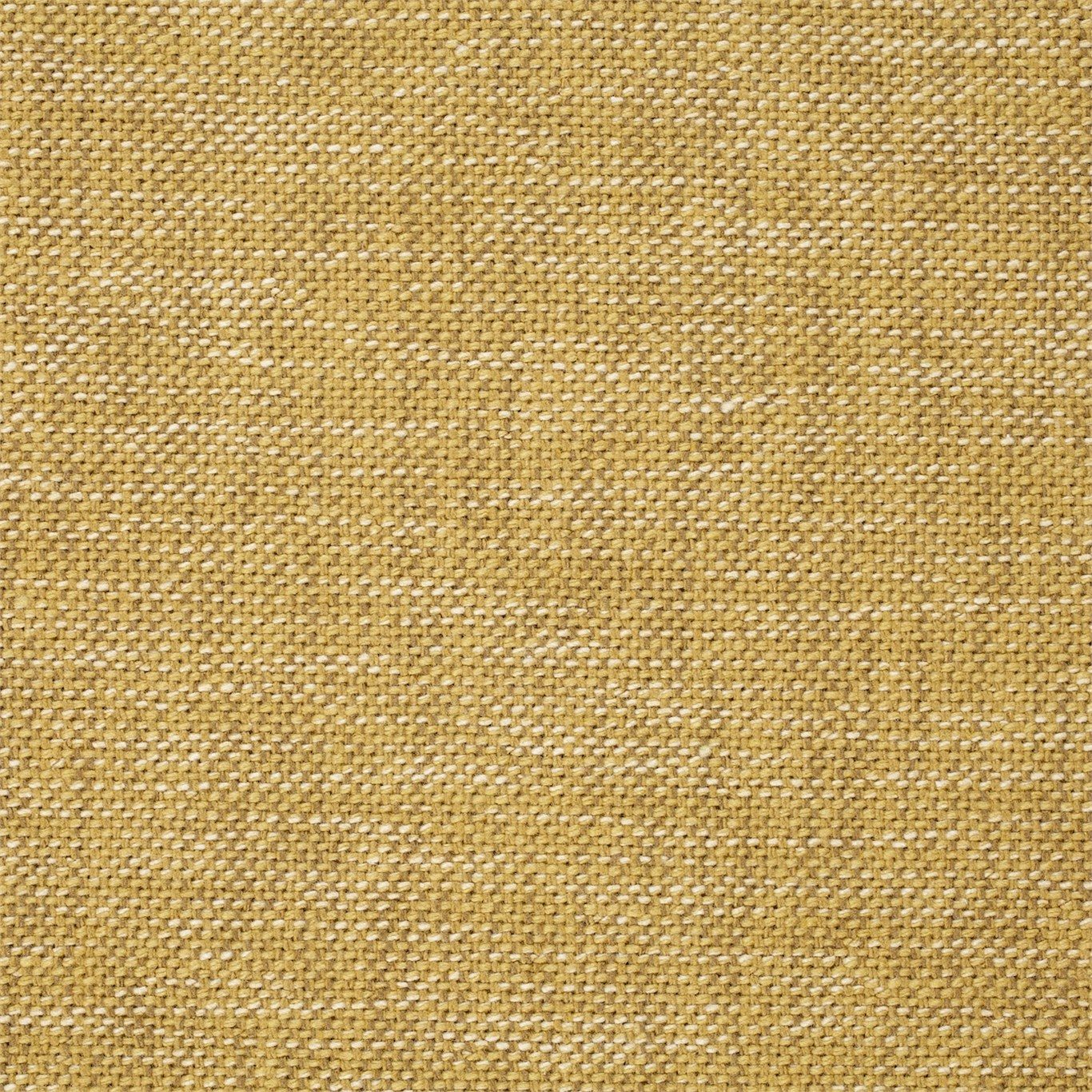 Plains Six NPLF131222