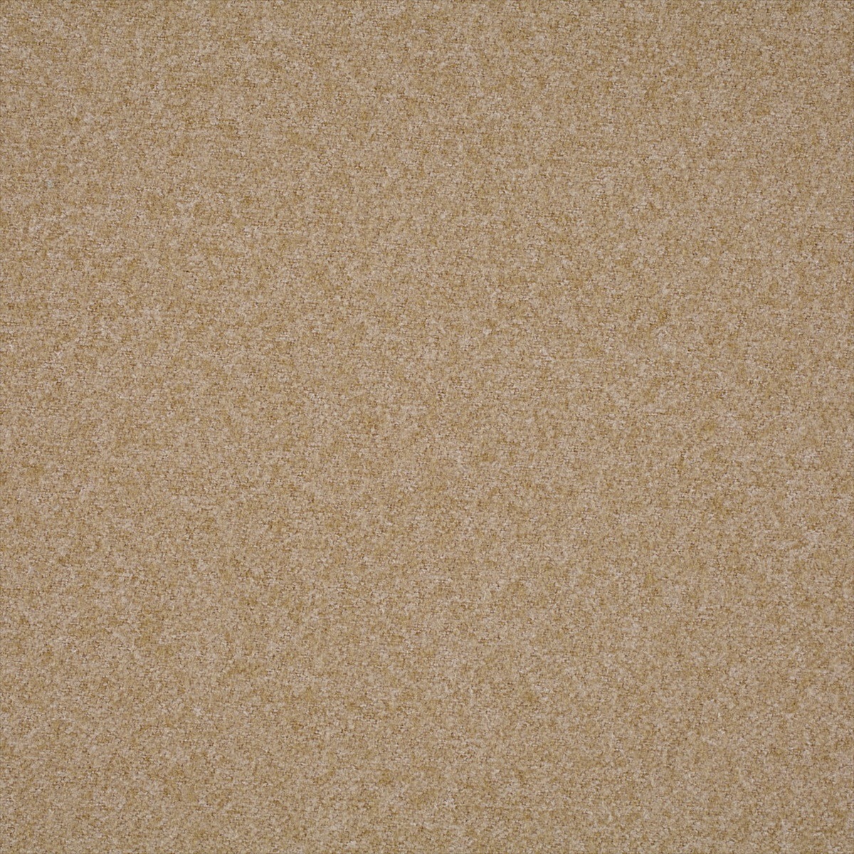 Plains Ten 131822