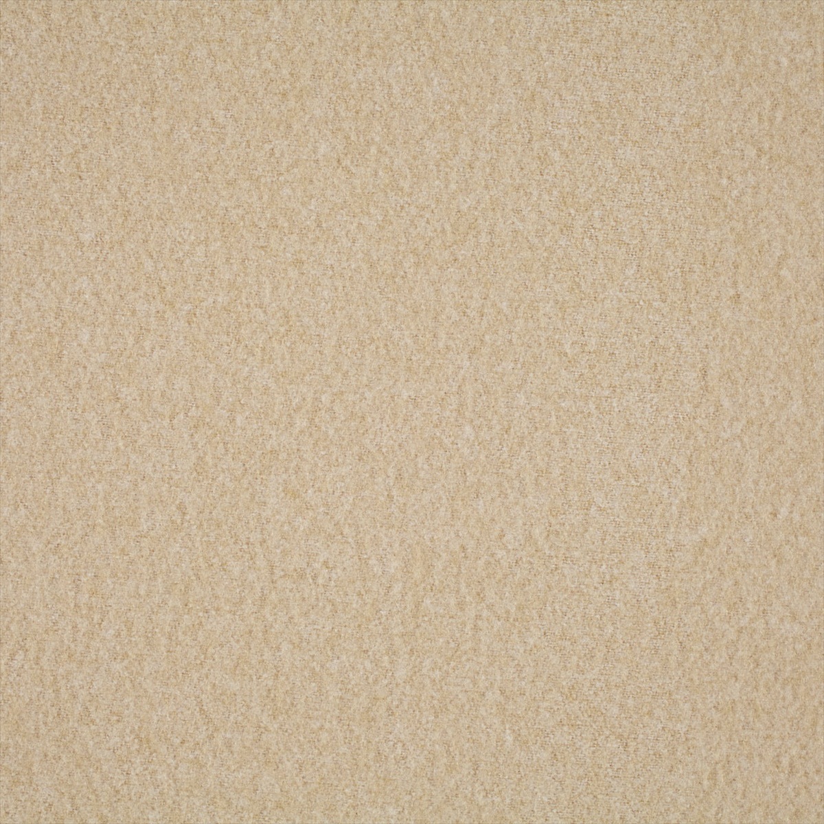 Plains Ten 131823