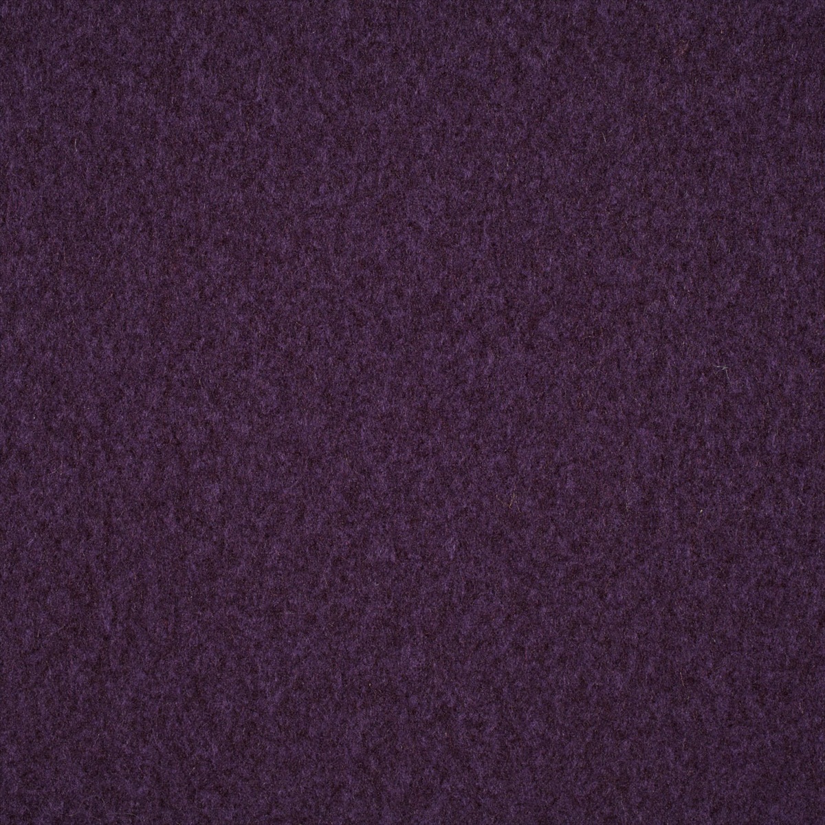 Plains Ten 131829