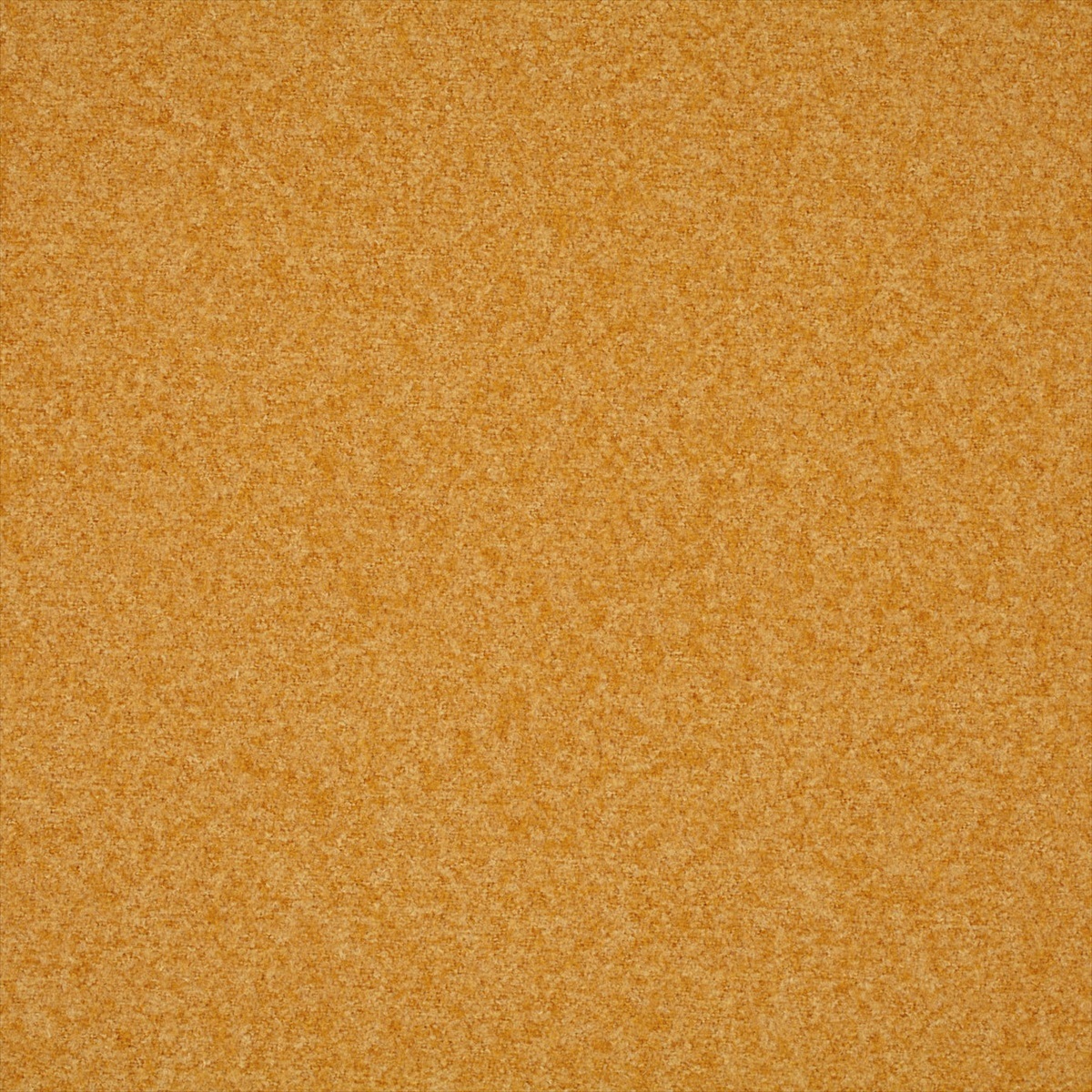 Plains Ten 131834