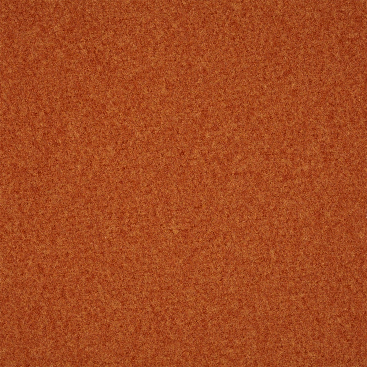 Plains Ten 131835