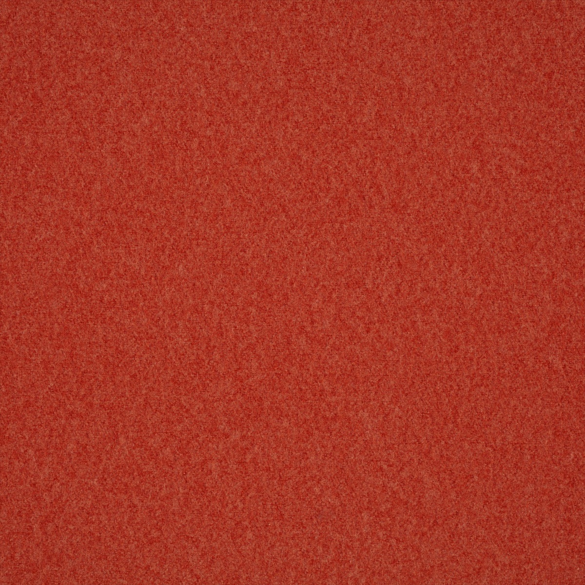 Plains Ten 131836