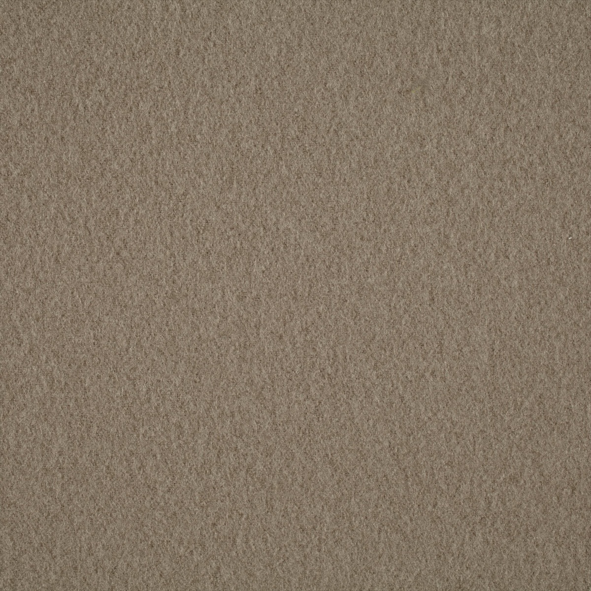 Plains Ten 131838