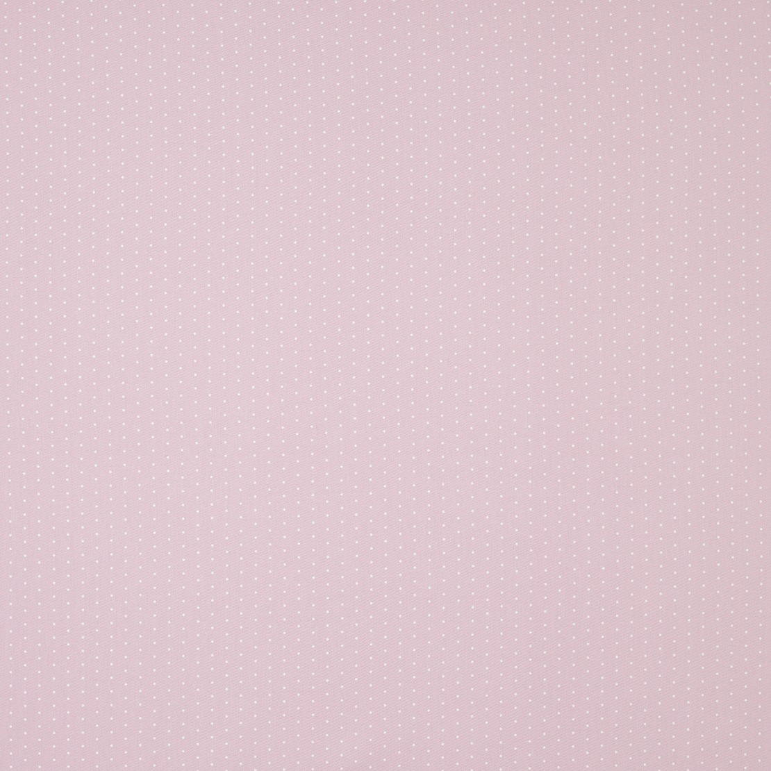 Pois MWS 8004 42 21