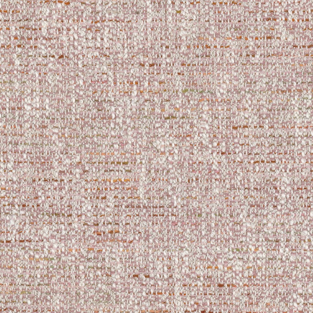 Primaute 4092 06 41