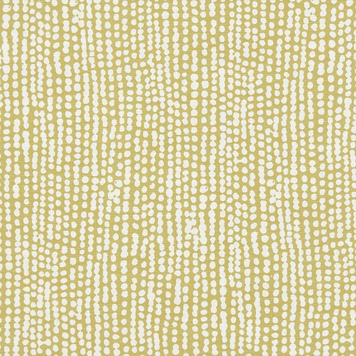Rainfall Citrus F1234-02