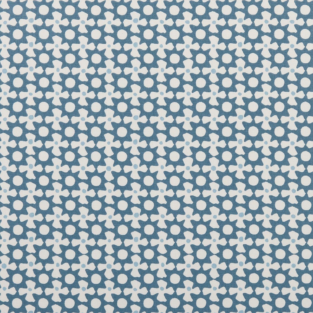 Reef Marine F0406-01