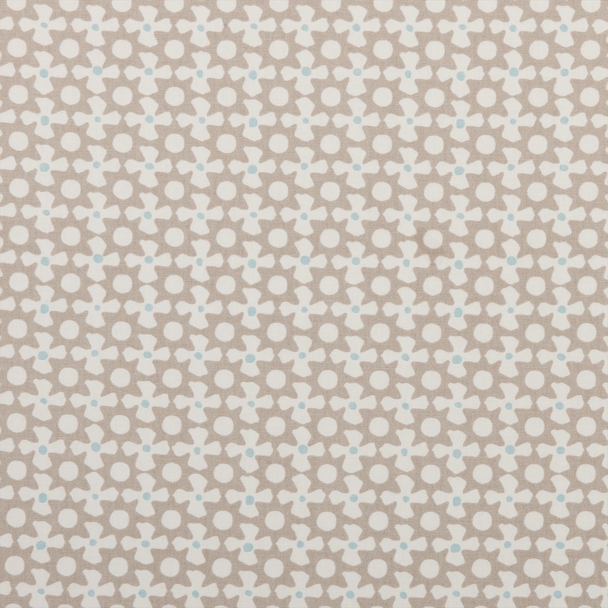 Reef Mineral F0406-03