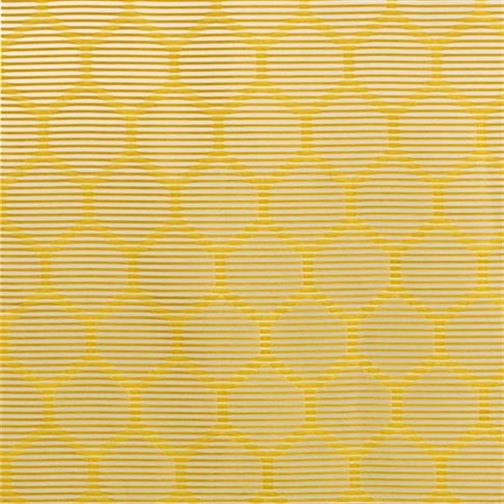 Regard Jaune 4152 01 52