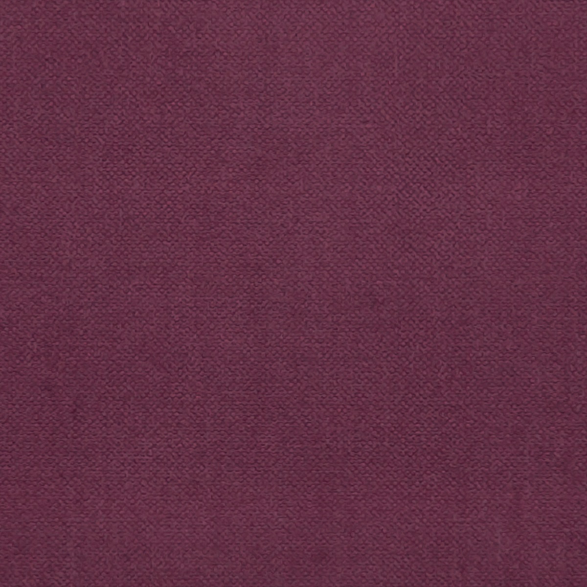 Renzo F1231-20
