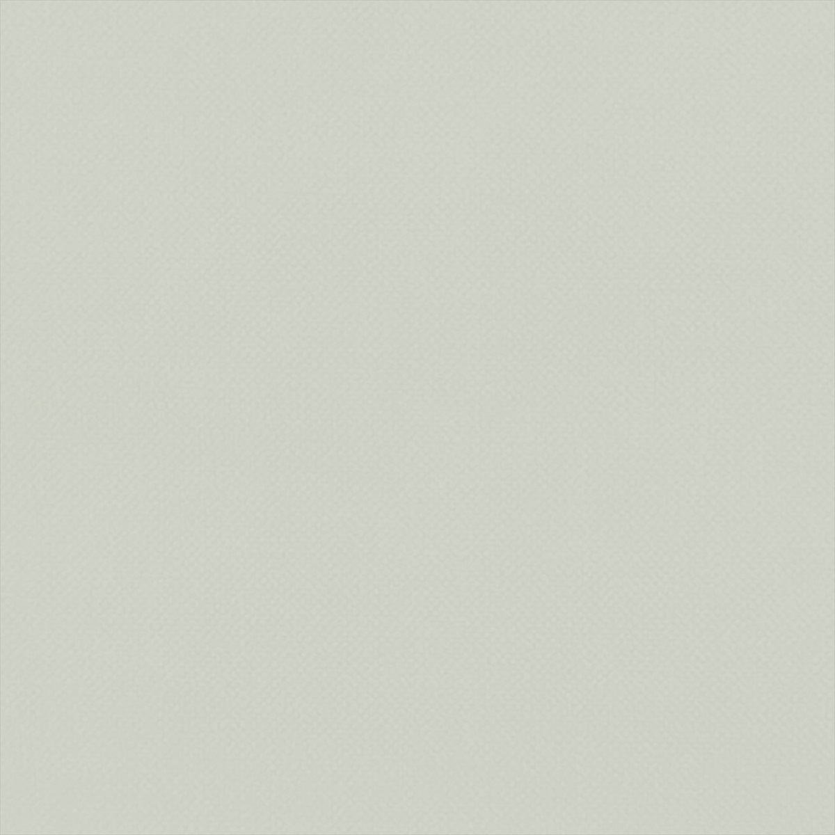 Renzo F1231-23