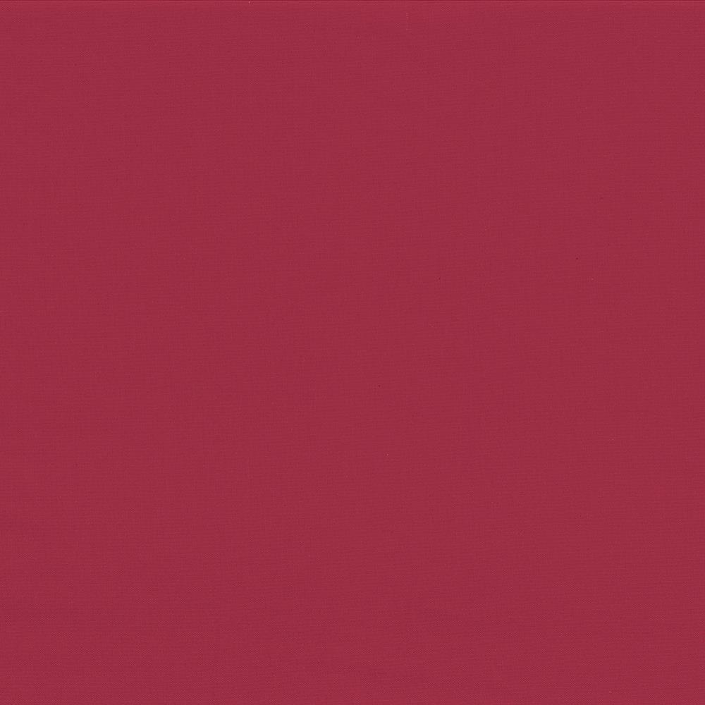 Salsa Framboise D1038 40 02