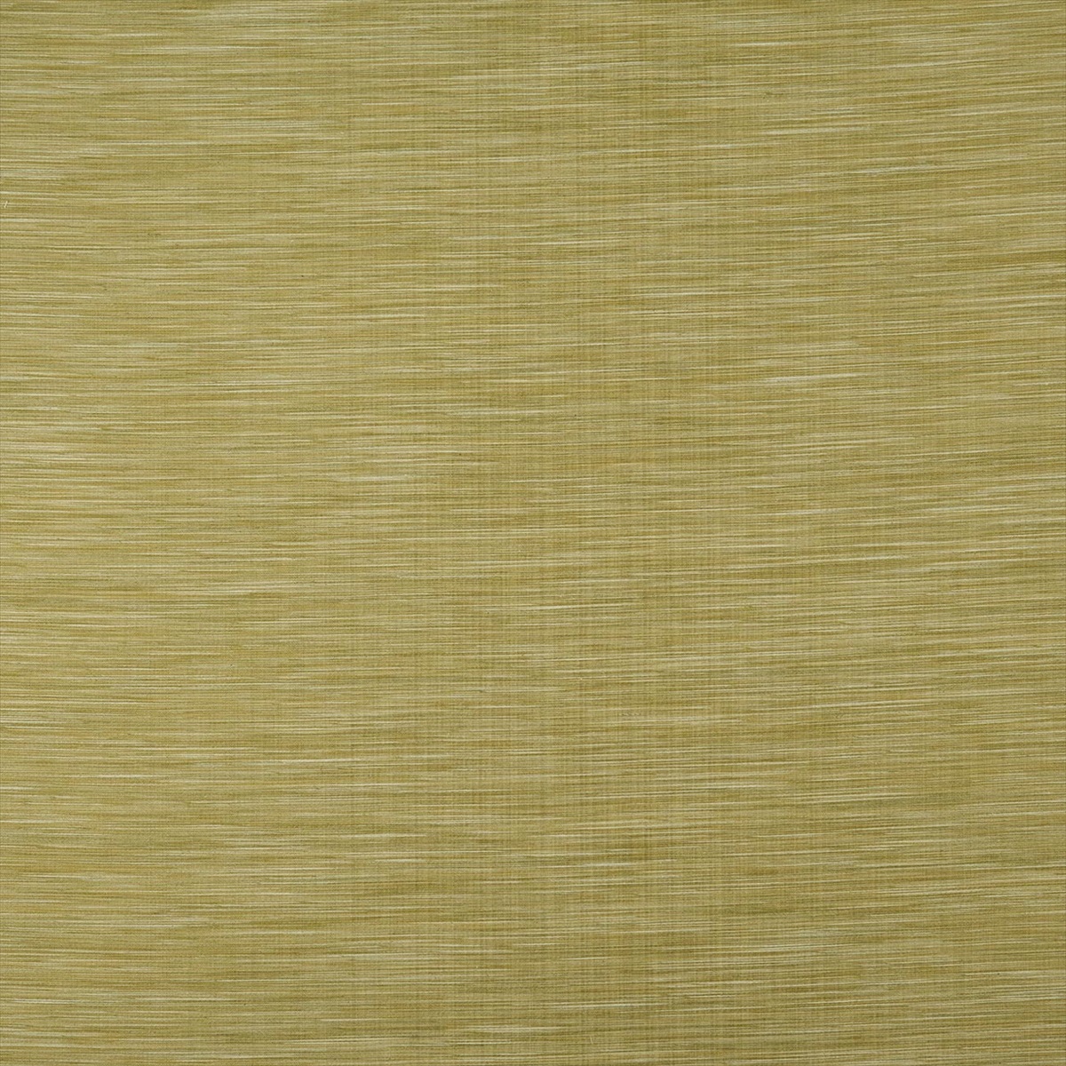 Savannah Citrus F1003-06