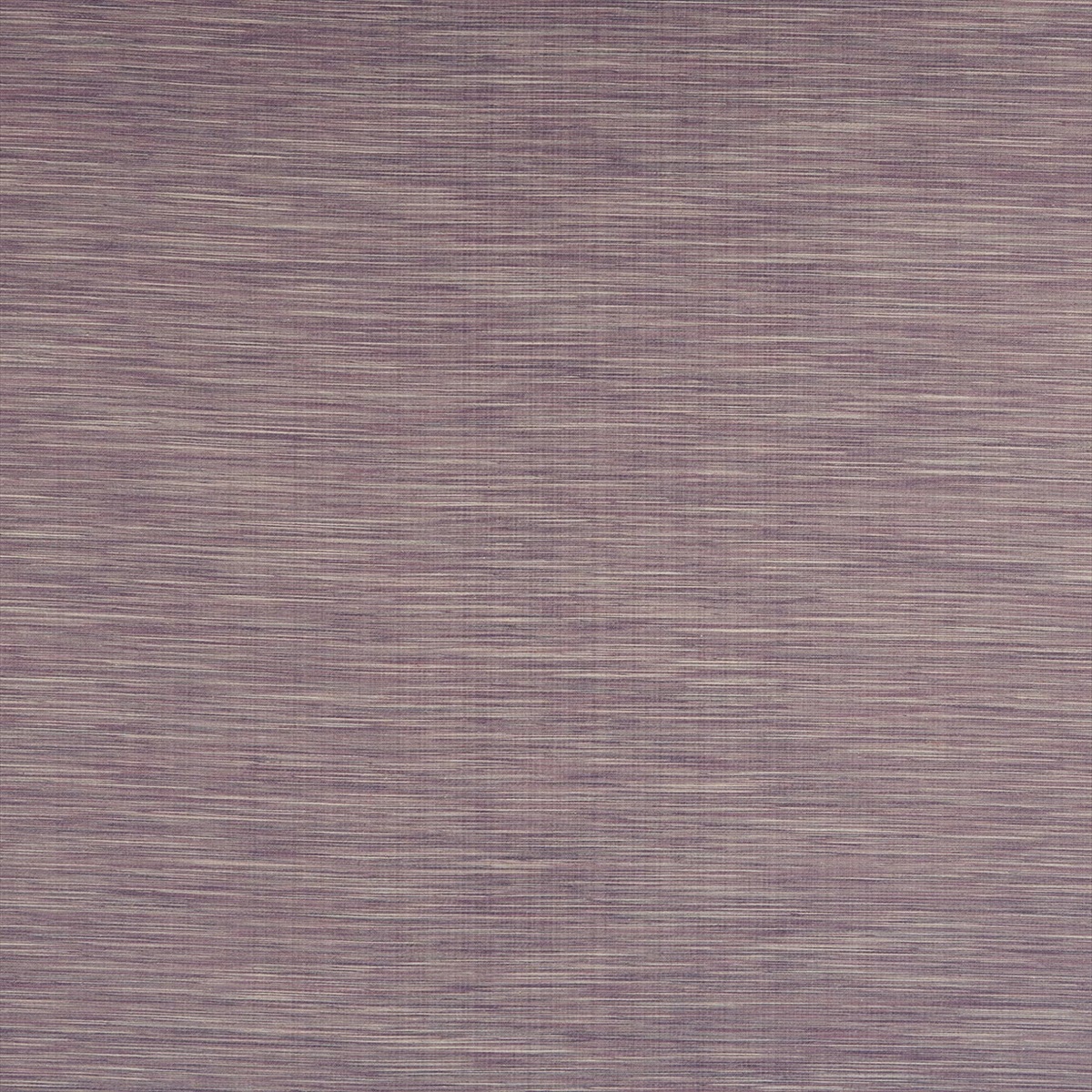 Savannah Heather F1003-14