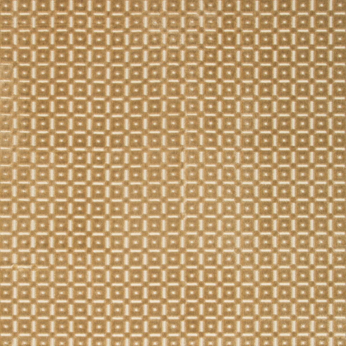 Savanne Velvet 8018110-16