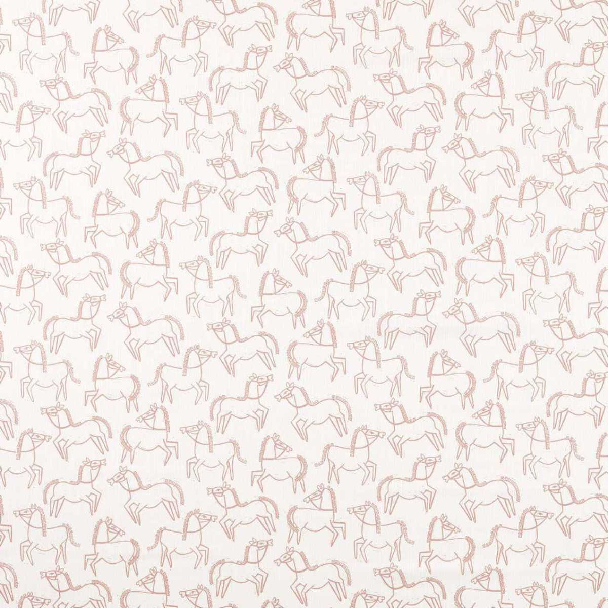 Canter Print 121320