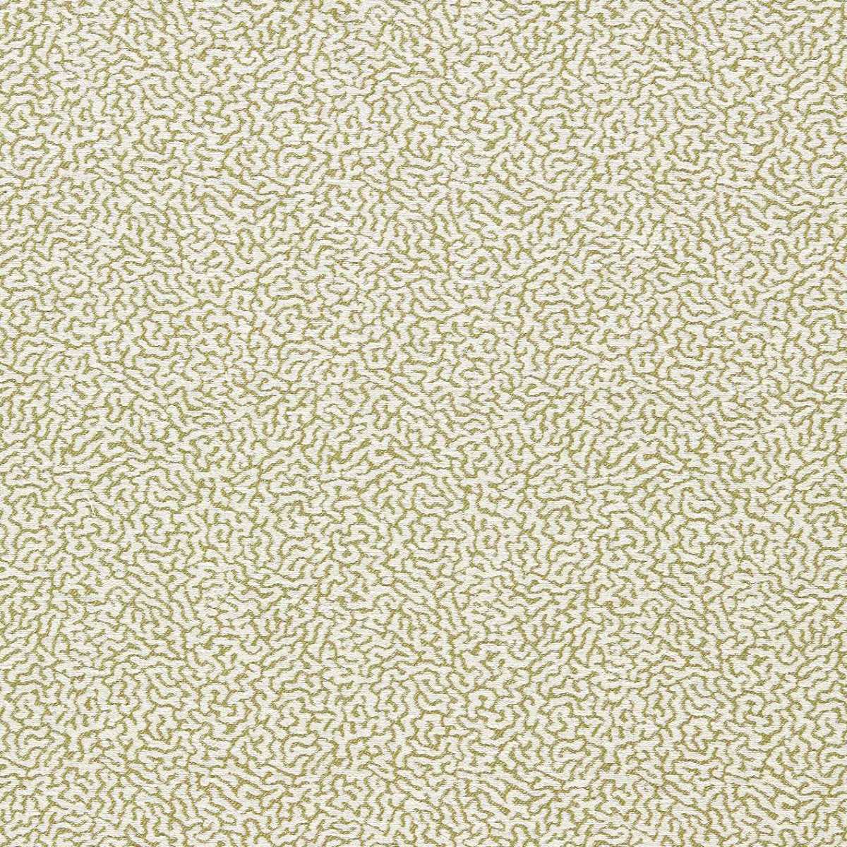 Duckweed Weave 134626