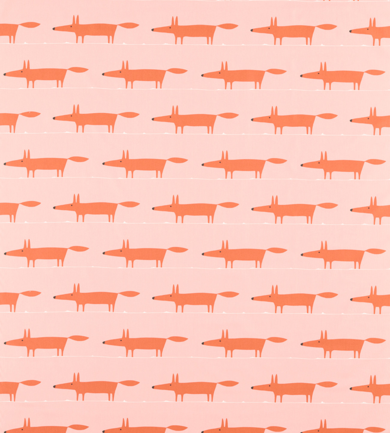 Midi Fox 121093