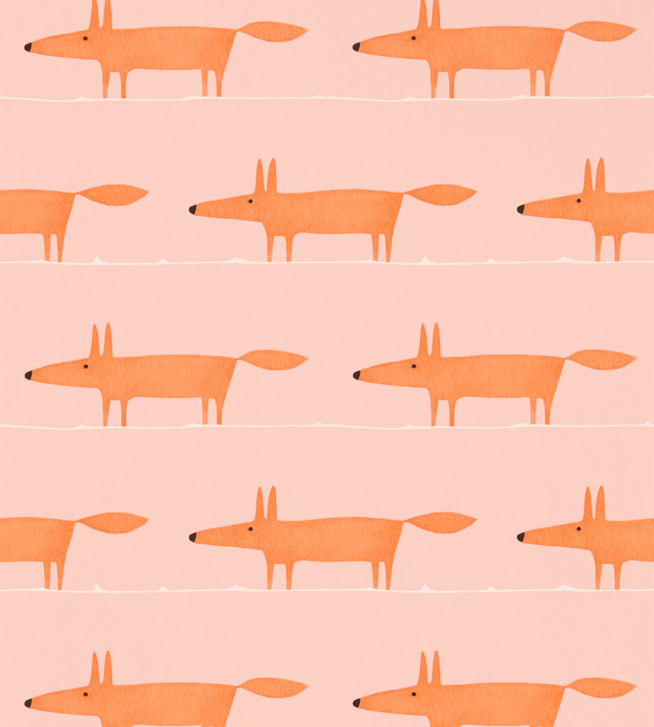 Midi Fox 112816