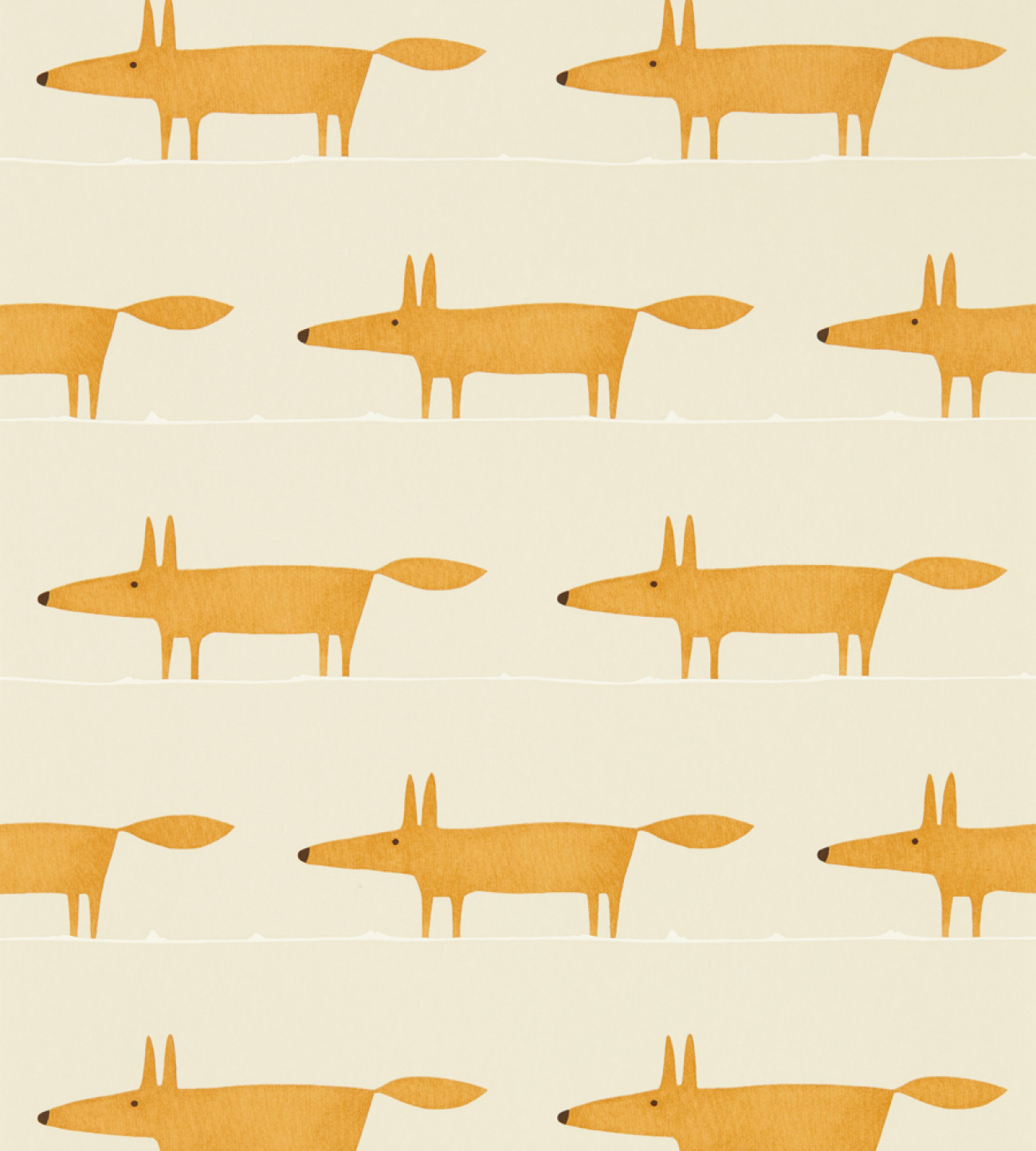 Midi Fox 112818