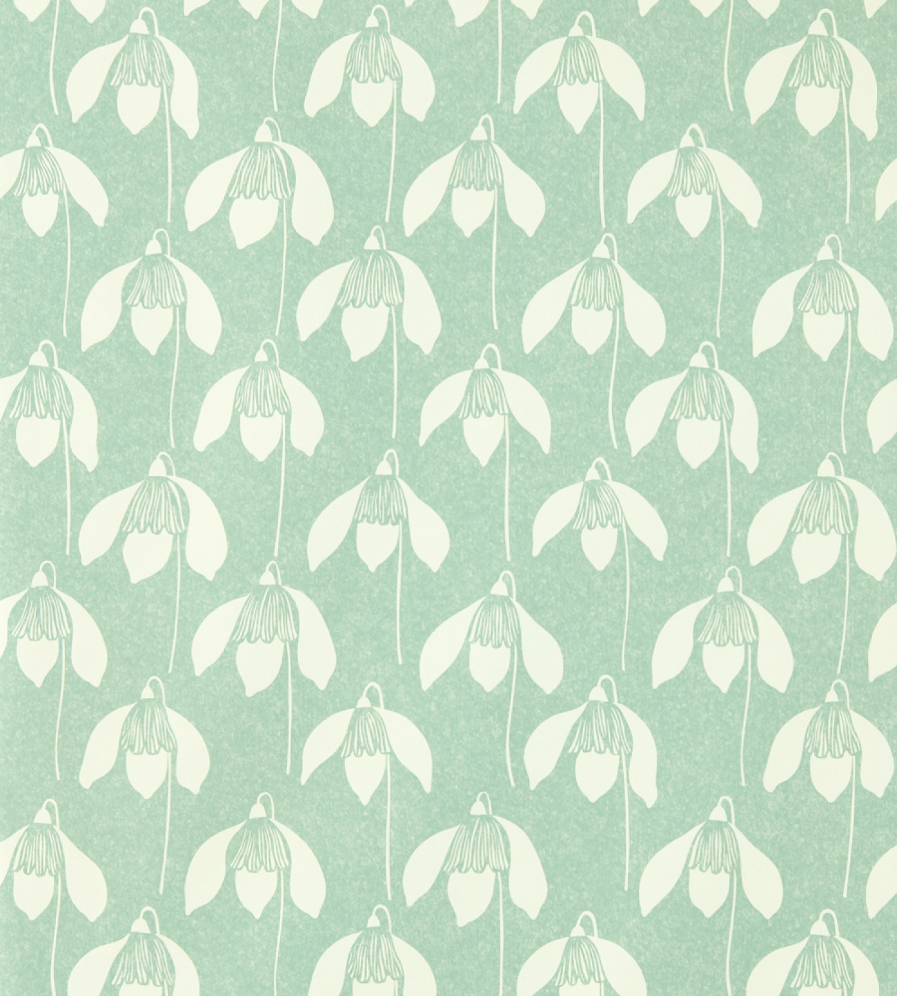 Snowdrop NART112801